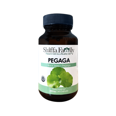 SHIFFA FAMILY BS Pegaga (60 Capsules)